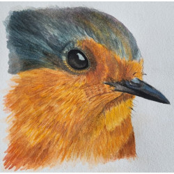 Paintings and ink drawings